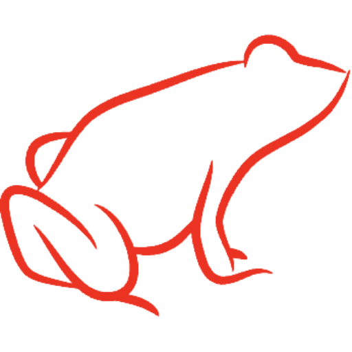 Red Frog Technology | Your Better Web Presence